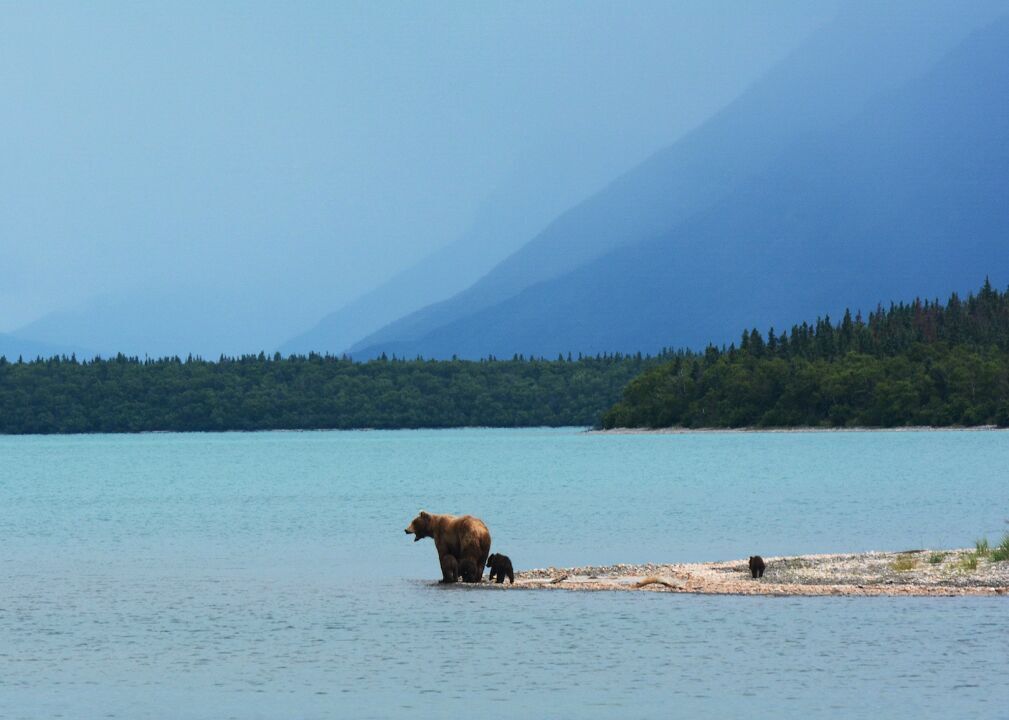 #2. Lake and Peninsula Borough, Alaska